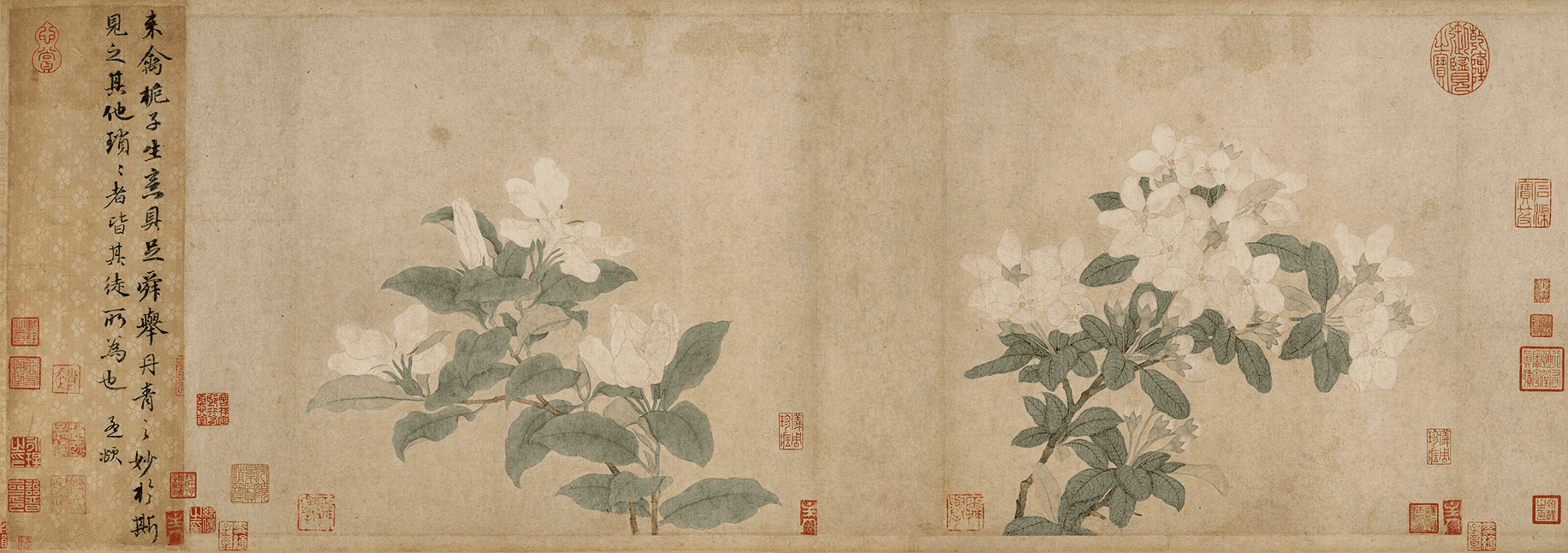 分类-工笔画基础课-知汇课堂