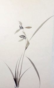 每日一画-兰花-知汇课堂